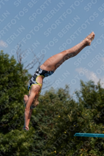 2017 - 8. Sofia Diving Cup 2017 - 8. Sofia Diving Cup 03012_20492.jpg