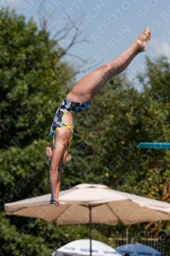 2017 - 8. Sofia Diving Cup 2017 - 8. Sofia Diving Cup 03012_20493.jpg