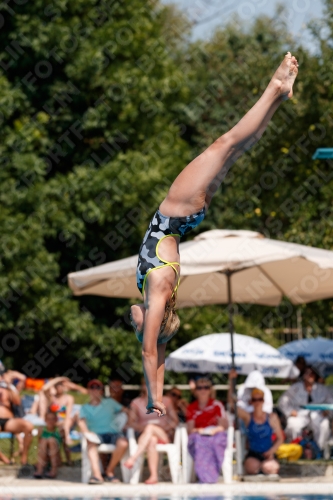 2017 - 8. Sofia Diving Cup 2017 - 8. Sofia Diving Cup 03012_20494.jpg