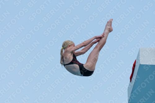 2017 - 8. Sofia Diving Cup 2017 - 8. Sofia Diving Cup 03012_20515.jpg