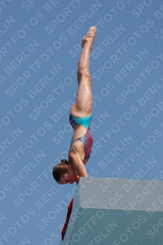 2017 - 8. Sofia Diving Cup 2017 - 8. Sofia Diving Cup 03012_20524.jpg