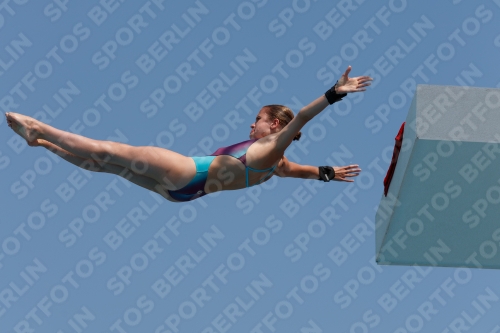 2017 - 8. Sofia Diving Cup 2017 - 8. Sofia Diving Cup 03012_20529.jpg
