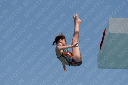 2017 - 8. Sofia Diving Cup 2017 - 8. Sofia Diving Cup 03012_20541.jpg
