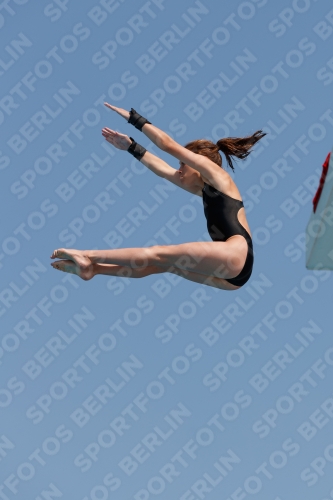 2017 - 8. Sofia Diving Cup 2017 - 8. Sofia Diving Cup 03012_20556.jpg