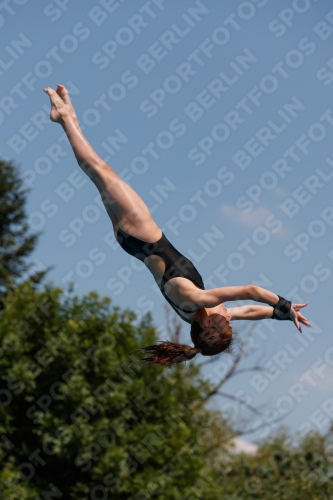 2017 - 8. Sofia Diving Cup 2017 - 8. Sofia Diving Cup 03012_20559.jpg