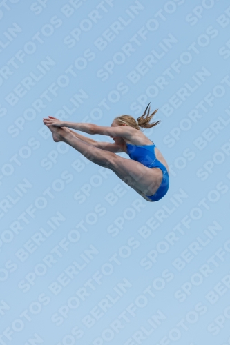 2017 - 8. Sofia Diving Cup 2017 - 8. Sofia Diving Cup 03012_20564.jpg