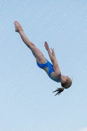 2017 - 8. Sofia Diving Cup 2017 - 8. Sofia Diving Cup 03012_20566.jpg