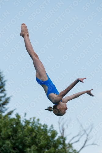 2017 - 8. Sofia Diving Cup 2017 - 8. Sofia Diving Cup 03012_20568.jpg
