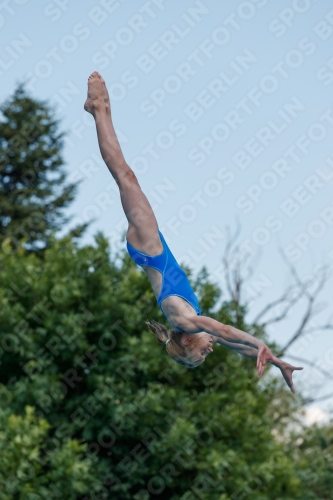 2017 - 8. Sofia Diving Cup 2017 - 8. Sofia Diving Cup 03012_20569.jpg