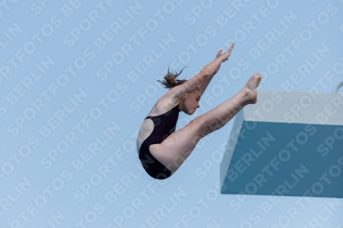 2017 - 8. Sofia Diving Cup 2017 - 8. Sofia Diving Cup 03012_20577.jpg