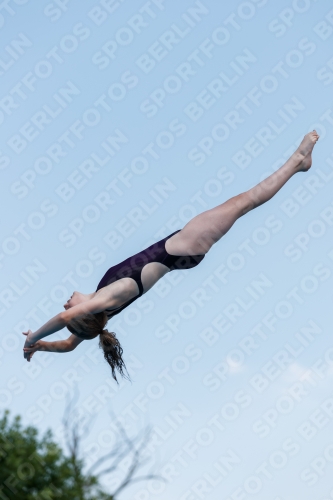 2017 - 8. Sofia Diving Cup 2017 - 8. Sofia Diving Cup 03012_20578.jpg