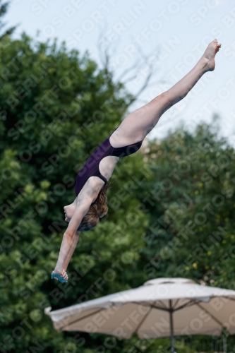 2017 - 8. Sofia Diving Cup 2017 - 8. Sofia Diving Cup 03012_20581.jpg