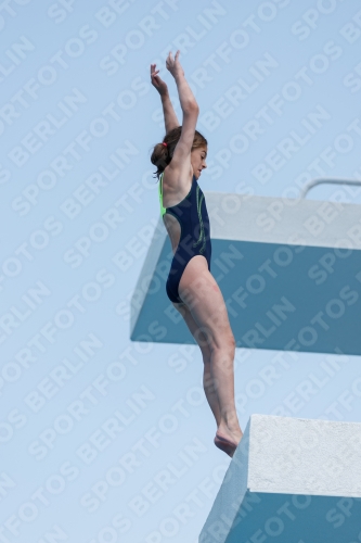 2017 - 8. Sofia Diving Cup 2017 - 8. Sofia Diving Cup 03012_20582.jpg