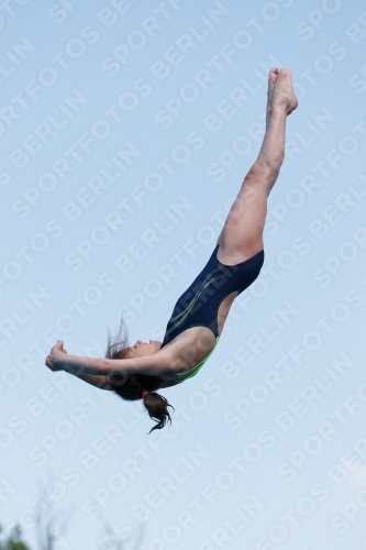2017 - 8. Sofia Diving Cup 2017 - 8. Sofia Diving Cup 03012_20588.jpg