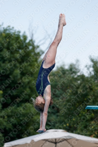 2017 - 8. Sofia Diving Cup 2017 - 8. Sofia Diving Cup 03012_20591.jpg