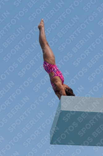 2017 - 8. Sofia Diving Cup 2017 - 8. Sofia Diving Cup 03012_20593.jpg