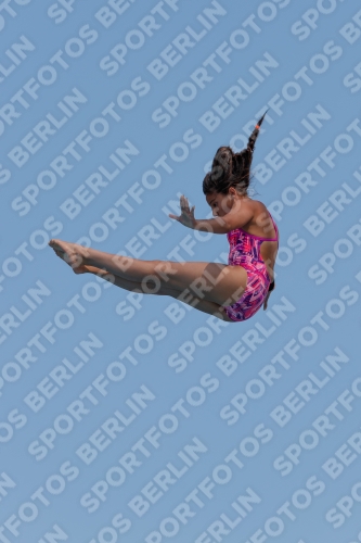 2017 - 8. Sofia Diving Cup 2017 - 8. Sofia Diving Cup 03012_20597.jpg