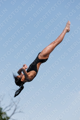 2017 - 8. Sofia Diving Cup 2017 - 8. Sofia Diving Cup 03012_20604.jpg