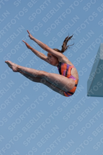 2017 - 8. Sofia Diving Cup 2017 - 8. Sofia Diving Cup 03012_20610.jpg