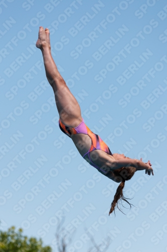 2017 - 8. Sofia Diving Cup 2017 - 8. Sofia Diving Cup 03012_20612.jpg