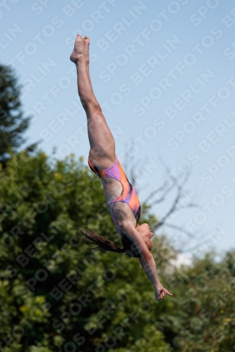 2017 - 8. Sofia Diving Cup 2017 - 8. Sofia Diving Cup 03012_20613.jpg