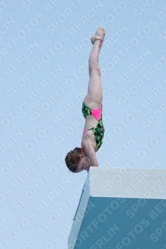 2017 - 8. Sofia Diving Cup 2017 - 8. Sofia Diving Cup 03012_20615.jpg