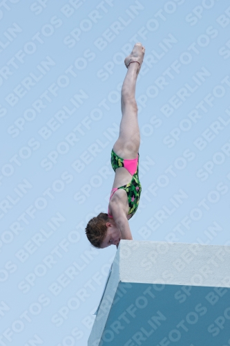 2017 - 8. Sofia Diving Cup 2017 - 8. Sofia Diving Cup 03012_20616.jpg