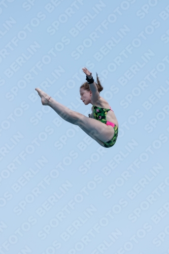2017 - 8. Sofia Diving Cup 2017 - 8. Sofia Diving Cup 03012_20620.jpg