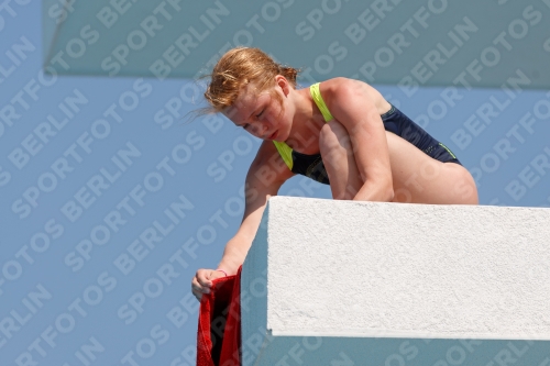 2017 - 8. Sofia Diving Cup 2017 - 8. Sofia Diving Cup 03012_20632.jpg