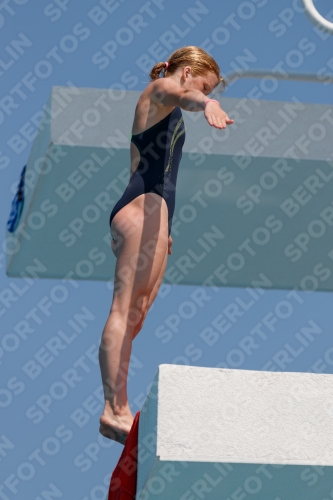 2017 - 8. Sofia Diving Cup 2017 - 8. Sofia Diving Cup 03012_20649.jpg