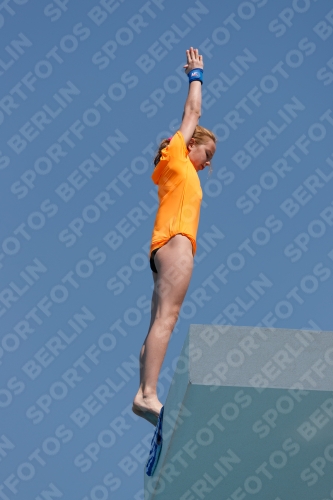 2017 - 8. Sofia Diving Cup 2017 - 8. Sofia Diving Cup 03012_20660.jpg