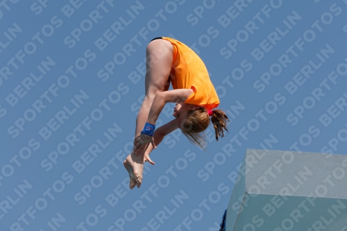 2017 - 8. Sofia Diving Cup 2017 - 8. Sofia Diving Cup 03012_20662.jpg