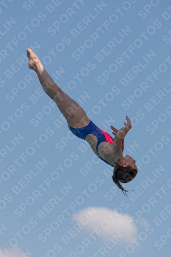 2017 - 8. Sofia Diving Cup 2017 - 8. Sofia Diving Cup 03012_20675.jpg