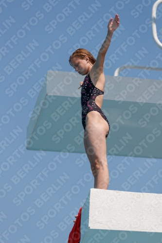 2017 - 8. Sofia Diving Cup 2017 - 8. Sofia Diving Cup 03012_20679.jpg