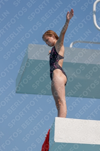 2017 - 8. Sofia Diving Cup 2017 - 8. Sofia Diving Cup 03012_20680.jpg