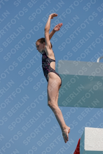 2017 - 8. Sofia Diving Cup 2017 - 8. Sofia Diving Cup 03012_20681.jpg