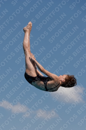 2017 - 8. Sofia Diving Cup 2017 - 8. Sofia Diving Cup 03012_20684.jpg