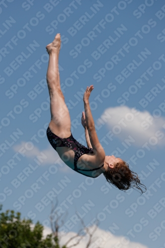 2017 - 8. Sofia Diving Cup 2017 - 8. Sofia Diving Cup 03012_20685.jpg