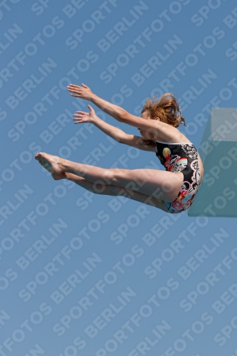 2017 - 8. Sofia Diving Cup 2017 - 8. Sofia Diving Cup 03012_20692.jpg