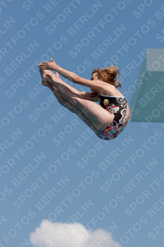 2017 - 8. Sofia Diving Cup 2017 - 8. Sofia Diving Cup 03012_20693.jpg