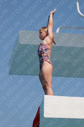 2017 - 8. Sofia Diving Cup 2017 - 8. Sofia Diving Cup 03012_20697.jpg