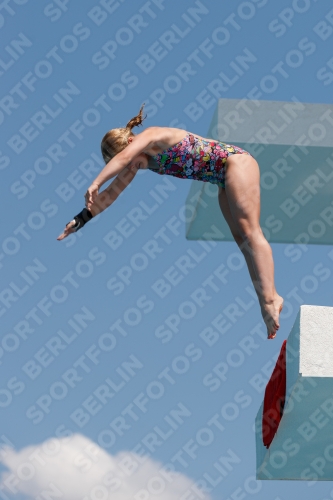 2017 - 8. Sofia Diving Cup 2017 - 8. Sofia Diving Cup 03012_20698.jpg