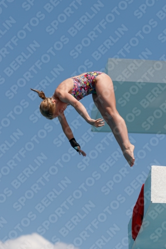2017 - 8. Sofia Diving Cup 2017 - 8. Sofia Diving Cup 03012_20699.jpg