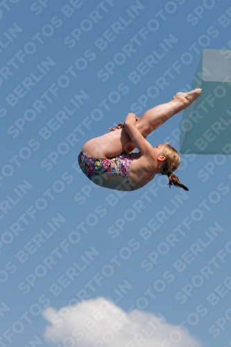 2017 - 8. Sofia Diving Cup 2017 - 8. Sofia Diving Cup 03012_20702.jpg