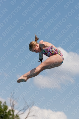 2017 - 8. Sofia Diving Cup 2017 - 8. Sofia Diving Cup 03012_20706.jpg