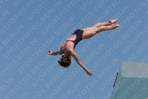 2017 - 8. Sofia Diving Cup 2017 - 8. Sofia Diving Cup 03012_20732.jpg