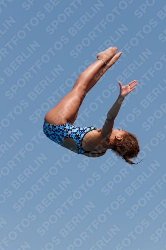2017 - 8. Sofia Diving Cup 2017 - 8. Sofia Diving Cup 03012_20743.jpg