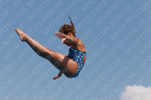 2017 - 8. Sofia Diving Cup 2017 - 8. Sofia Diving Cup 03012_20745.jpg
