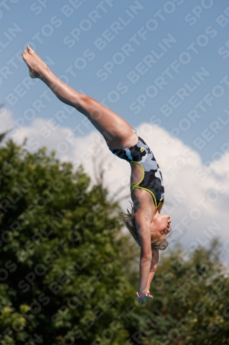2017 - 8. Sofia Diving Cup 2017 - 8. Sofia Diving Cup 03012_20761.jpg