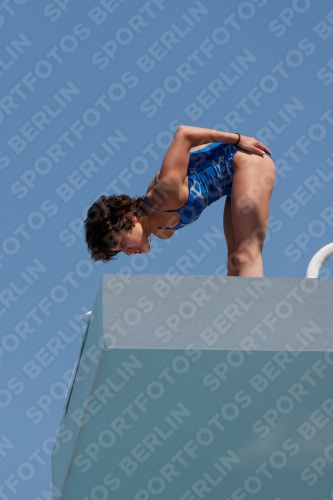 2017 - 8. Sofia Diving Cup 2017 - 8. Sofia Diving Cup 03012_20763.jpg